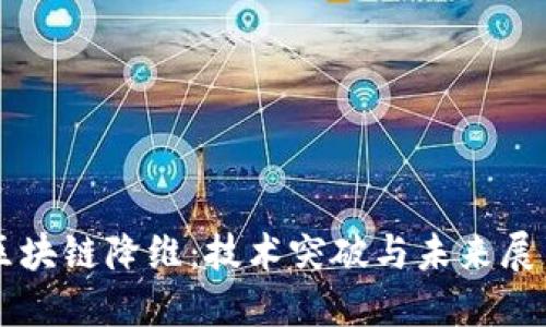 區(qū)塊鏈降維:技術(shù)突破與未來(lái)展望